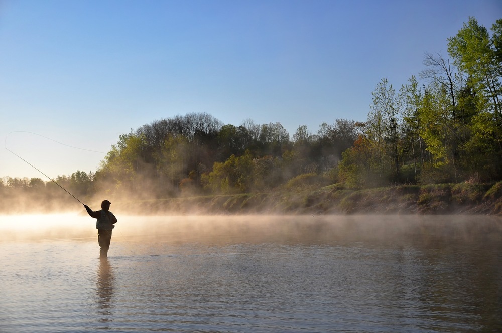 Casting Away: Tips for a Successful Fly Fishing Trip