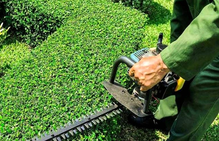 Uncover Prime Backyard Upkeep and Landscaping Providers with Wantage City Group Listing