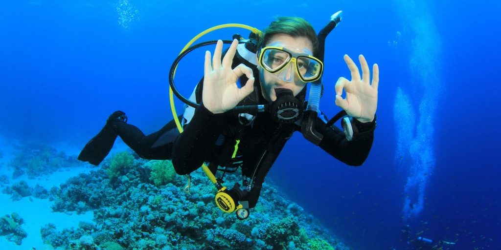 Consolation, Security, And Management: Exploring The Important Parts Of Dive Gear